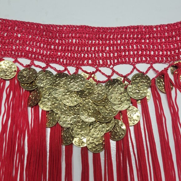 Hip Skirt Belly Dance Tassels Fringe Skirt Bellydance Coins and Fringe Hip Scarf - Picture 3 of 13